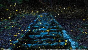 Forest of The Fairy karya fotografer Y. Takafuji asal Jepang sebagai pemenang Honorable Mention kategori People. (Foto: National Geographic)