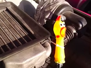 Waduh, Mobil Ini Ada Suara Jeritan Ayamnya
