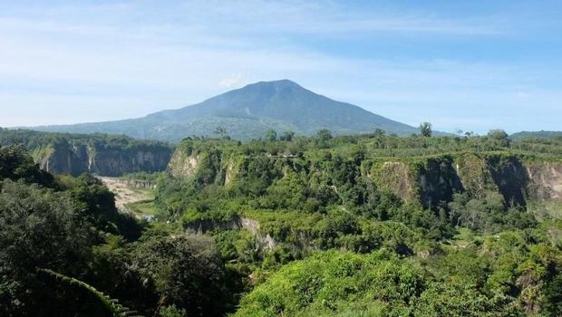 taman