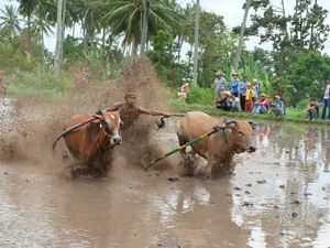 Tertawan Keelokan Kabupaten Tanah Datar Sumatera Barat