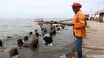 Begini Tumpukan Sampah dari Laut Utara Jakarta