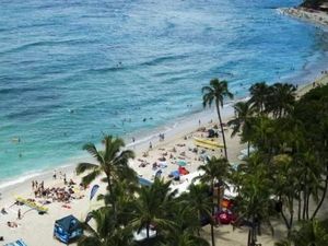 Sungguh Malang, 7 Turis di Hawaii Luka-luka Tertimpa Pohon Tumbang