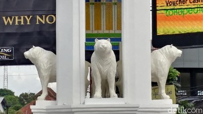 Potret Maung yang Mirip Anjing Laut di 3 Lokasi di Bandung