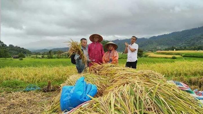 Foto: Dok Kementan Foto: Dok Kementan