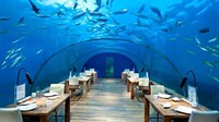 Di dalam perairan Maldives tepatnya 16 meter di bawah permukaan laut ada tempat makan ekstreme. Seluruh permukaannya kaca jadi sambil makan sambil menikmati biota laut alami. Foto: Istimewa
