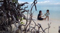 Foto: Pulau mungil yang luasnya hanya sekitar 4 hektar ini menyuguhkan pemandangan pasir putih dan air laut yang jernih. Tak hanya itu, rimbunan pohon cemara dan pinus yang tegak menjulang membuat traveler serasa berada di pegunungan. (Moehammad Bakrie/detikTravel)