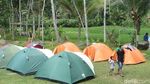 Foto: Rafting Seru & Kemping Asyik di Tepi Sungai Serayu