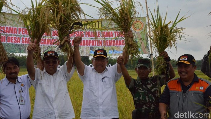 Kementan Jamin Stok Beras Aman Hingga Tahun Depan