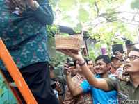 Sandiaga memanen anggur yang ditanam warga