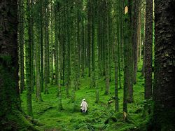 Fenomena Mengejutkan yang Hanya Terjadi Jika Bumi Datar