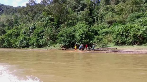 Ini Dia Penampakan Ilegal Logging Hutan Suaka Rimbang Baling Riau