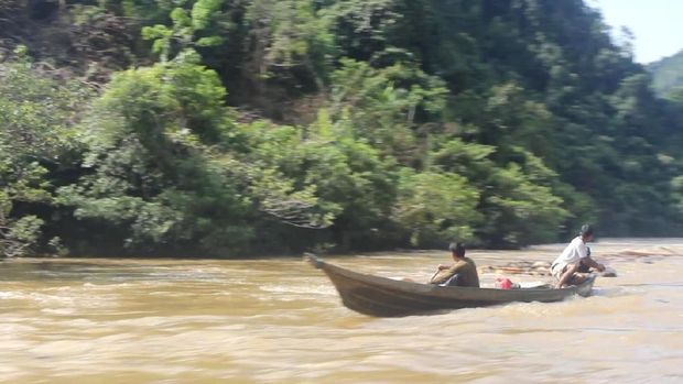 Ini Dia Penampakan Ilegal Logging Hutan Suaka Rimbang Baling Riau