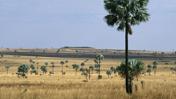Tidak Ada Musim: Menurut Ethan Siegel, ahli astrofisika, hilangnya musim di planet biru ini disebabkan karena setiap daerah di seluruh dunia akan menerima paparan sinar Matahari dalam jangka waktu yang sama sebagai dampak dari hilangnya rotasi jika Bumi berbentuk datar. Jadi, planet ini akan mengalami musim yang sama sepanjang tahun. (Foto: Unwired)