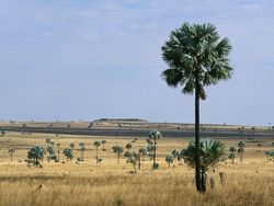 Fenomena Mengejutkan yang Hanya Terjadi Jika Bumi Datar