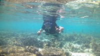 Foto: Pengunjung bisa bermain air, snorkling, dan berenang. Airnya yang tenang, tentu aman untuk anak-anak berenang di tepi pantainya. (Moehammad Bakrie/detikTravel)