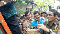Sandiaga juga melihat tanaman sayur dan buah lainnya yang ditanam warga di sekitar rumah dan sepanjang jalan.