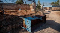 13 hewan diselamatkan dari Magic World, sebuah taman hiburan di pinggiran timur Aleppo, Suriah. Mereka dipindahkan ke Yordania.