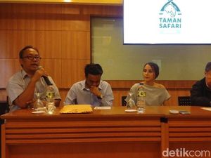 Pemuda yang Cekoki Miras ke Kuda Nil akan Rawat Satwa Taman Safari