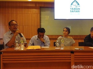 Pemuda yang Cekoki Miras ke Kuda Nil akan Rawat Satwa Taman Safari
