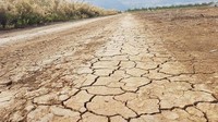 Penampakan tanah di kfar blum yang mengering. Foto: Assaf Kamar