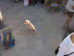 Penampakan Super Aneh yang Tertangkap Kamera Google Maps