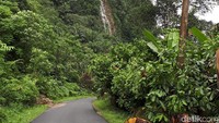 Dari sini, Jalan Sigura-gura akan melintasi tebing yang curam dengan di sebelahnya mengalir Sungai Asahan. (Chaidir/detikTravel)