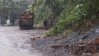 Apalagi bila berjalan pagi hari, awan masih bermanja-manja di pucuk hutan nan rimbun menjelang matahari mengusirnya dari pepohonan. (Chaidir/detikTravel)