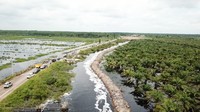 Kemarin sudah ada pertemuan dengan pihak perusahaan dan mereka bersedia untuk membuka tanggul yang menutup aliran air. Mengapa? Karena tanggul yang mereka buat telah menutup aliran air dan menyebabkan banjir di beberapa titik, salah satunya di Jalan Kayuagung-Sepucuk-Padamaran Timur, terang Sekda OKI, Husin kepada wartawan, Jumat (29/12/2017). Husin melanjutkan, akibat banjir yang merendam sebagian bahu jalan di Jalan Sepucuk, aktifitas warga dan pemerintahan menjadi terganggu. Pasalnya jalan ini merupakan akses utama pemerintah yang menghubungkan beberapa kecamatan dan kota lainnya. Sedangkan untuk enam kecamatan yang masih terendam akibat luapan sungai Komering dan sungai Ogan, Pemkab OKI telah berkoordinasi dengan Balai Besar Wilayah Sungai (BBWS). Pemkab meminta balai yang menjadi kewenangan pemerintah pusat untuk  mengatur buka tutup pintu air di kedua sungai. 