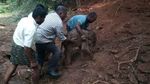 Foto: Kuatnya Pria India yang Gendong Bayi Gajah 100 Kg