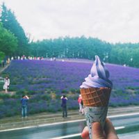 Jalan-jalan Ke Sapporo, Jangan Lupa Cicip 5 Makanan Lezat Ini!