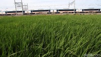 Selain tarif yang bakal berubah per 2 Januari nanti. Jenis layanan yang diberikan oleh PT Railink selaku operator kereta bandara juga akan ada yang bertambah.