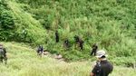 Foto: Ladang Ganja 9 Hektare di Aceh Dibakar