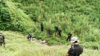 Pemusnahan ladang ini dilakukan personel gabungan tim khusus Direktorat 4 Narkoba Bareskrim Polri, dan Direktorat Narkoba Polda Aceh pada Kamis (28/12) sore. Ada dua lokasi yang menjadi sasaran yaitu di Kecamatan Indrapuri serta Kecamatan Montasik. Tim yang bergerak ke lokasi harus berjalan kaki  selama 30 menit hingga satu jam dari tempat parkir mobil. 