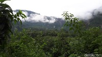 Di sepanjang jalan ini, panorama alam membentang dengan hijaunya. Perbukitan yang menjulang tinggi dengan rimbunnya hutan alam menjadi pemandangan yang memanjakan mata. (Chaidir/detikTravel)