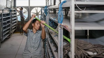 Bersih-bersih secara rutin. Foto: Quartz