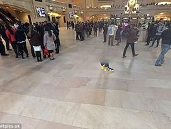 Deretan Foto Super Aneh yang Terekam Google Maps