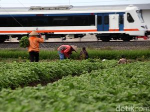 Catat! Ini Jadwal dan Tarif Kereta Bandara Soetta dari Bekasi