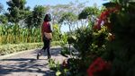 Foto: 20 Wisata Alam, Sejarah hingga Horor di Surabaya