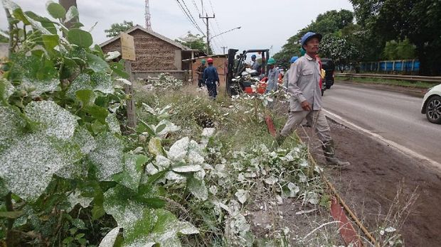 Bak Tertutup Salju, Ini Penampakan Pabrik Bijih Plastik yang Meletup