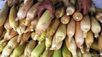 Tahun Baru Datang, Pedagang Jagung Senang