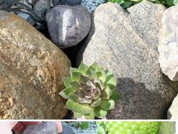 Mau Kelabui Maling? Coba Pake Kumpulan Ide Kreatif Ini