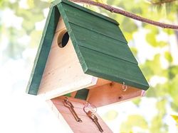 Mau Kelabui Maling? Coba Pake Kumpulan Ide Kreatif Ini