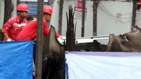 Pihak Pertamina masih menyelediki penyebab kebakaran ini.