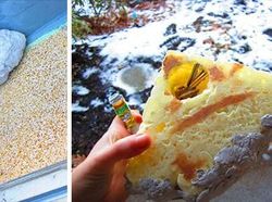 Mau Kelabui Maling? Coba Pake Kumpulan Ide Kreatif Ini