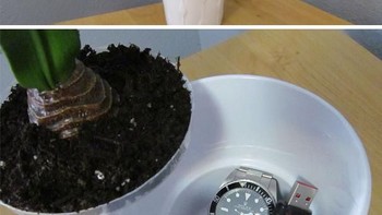 Kalau begini, maling pastinya mengira ini vas bunga biasa. Foto: internet