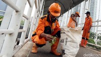 Mereka memcabuti lumut dan rumput yang tumbuh.