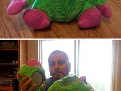 Mau Kelabui Maling? Coba Pake Kumpulan Ide Kreatif Ini