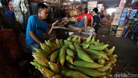 Sejumlah pedagang menerima pasokan jagung dari beberapa daerah di Jawa Tengah dan Jawa Barat.