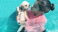 Liza juga ternyata menyukai olahraga renang. Bahkan ia mengajak anjing peliharaannya untuk ikut berenang. Foto: Instagram/@lizasoberano