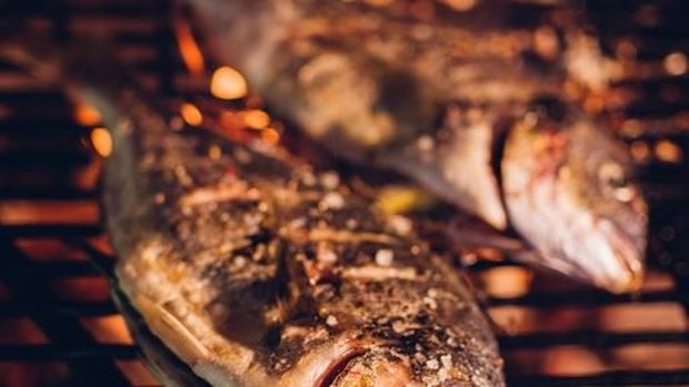 tips ikan bakar